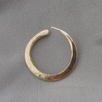 gold earring gold earring